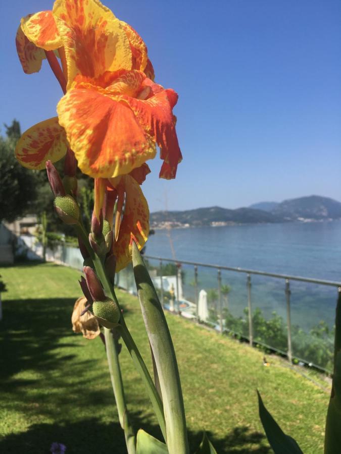 Villa Evita Mesongí エクステリア 写真